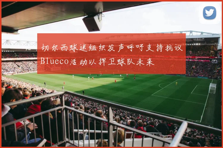 切尔西球迷组织发声呼吁支持抗议Blueco活动以捍卫球队未来