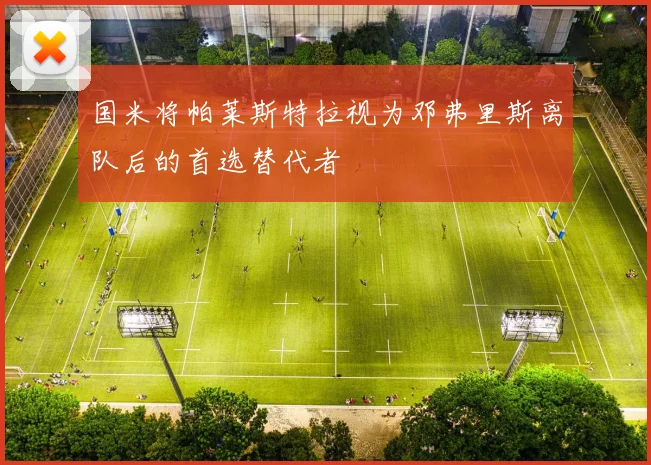 国米将帕莱斯特拉视为邓弗里斯离队后的首选替代者